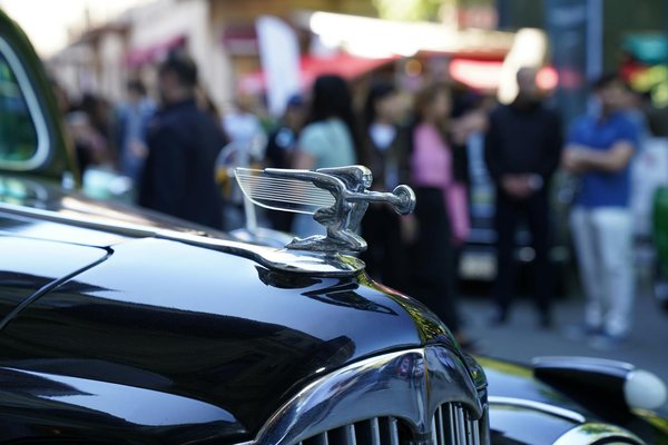 Les plaquettes de frein pour les nuls